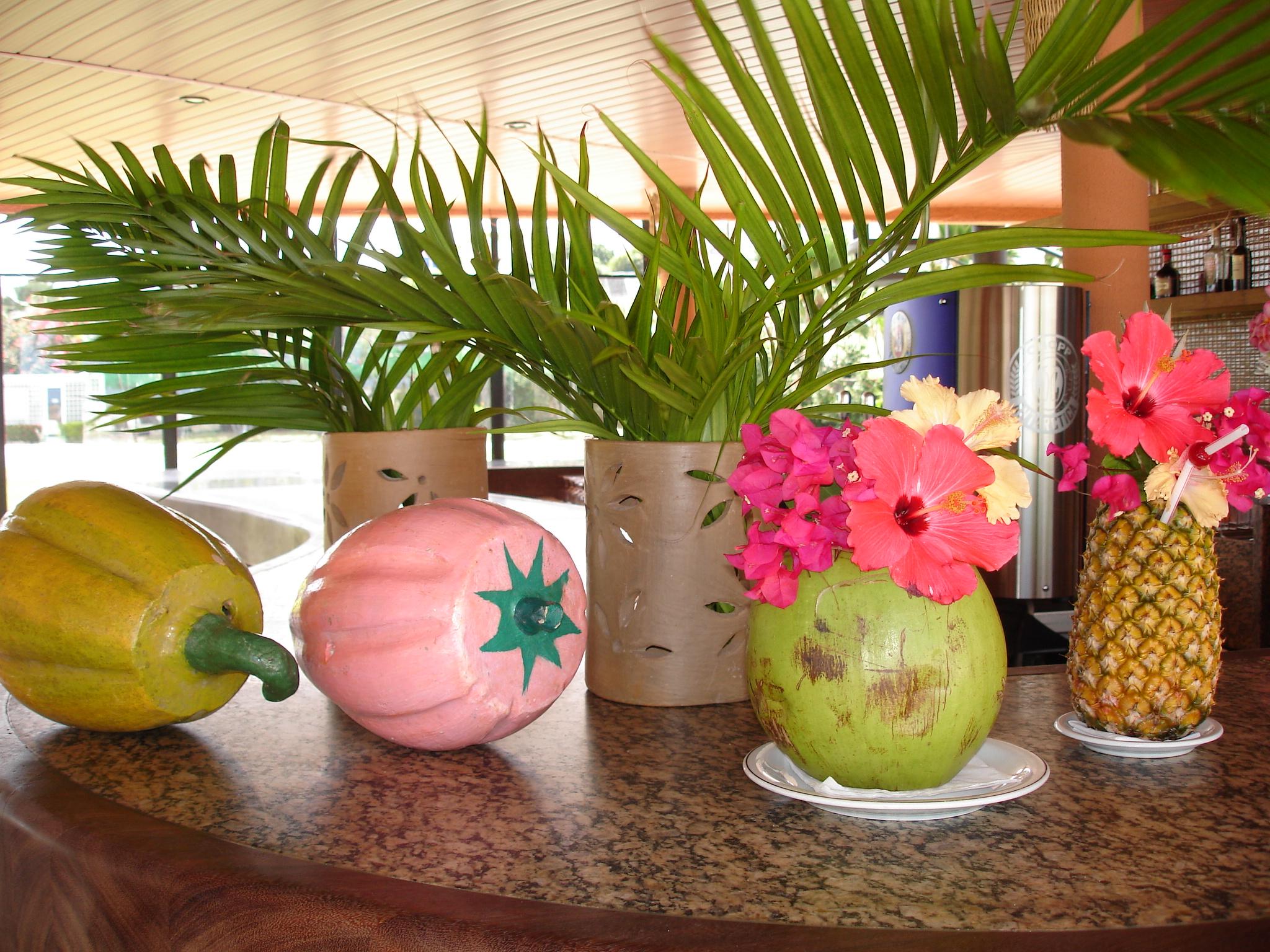 Marina Park Hotel 福塔雷萨 外观 照片 A variety of fruit